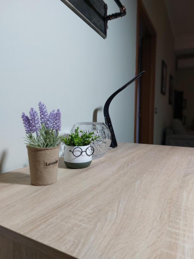 טיראנה Vila Tafa Apartments Ap3 מראה חיצוני תמונה